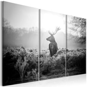Canvas Tavla - Black And White Deer I - 120x80