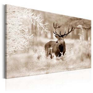 Canvas Tavla - Deer In Sepia - 90x60