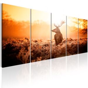Canvas Tavla - Deer At Sunset - 200x80