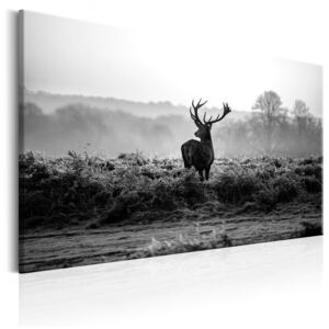 Canvas Tavla - Deer In The Wild - 90x60