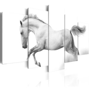 Canvas Tavla - Horse- Passion And Freedom - 200x100