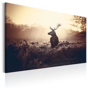 Canvas Tavla - Lurking Deer - 90x60