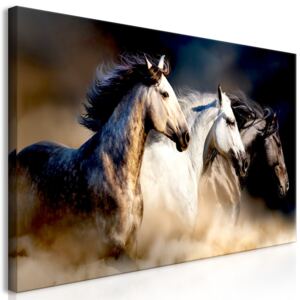 Canvas Tavla - Sons Of The Wind (1 Del) Wide - 120x60