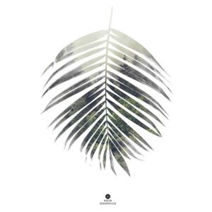 Poster Palm leaf