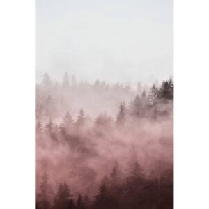 Poster Foggy red