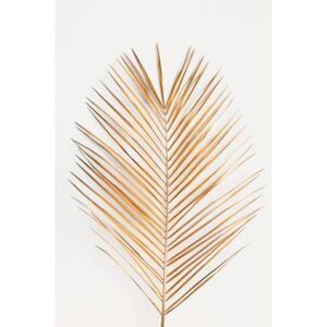 Poster Palm leaf gold