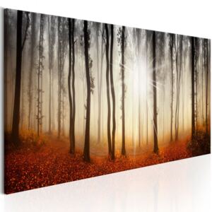Canvas Tavla - Autumnal Fog - 120x40