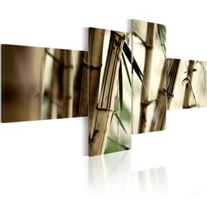 Canvas Tavla - Bamboo inspiration - 100x45