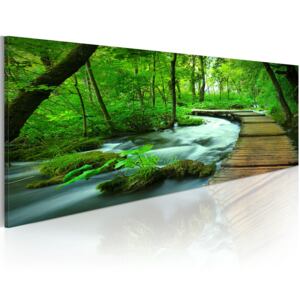 Canvas Tavla - Forest broadwalk - 135x45