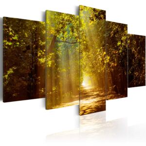 Canvas Tavla - Forest in the Sunlight - 100x50