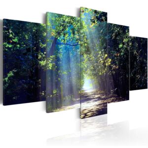 Canvas Tavla - Sunny Forest Path - 200x100