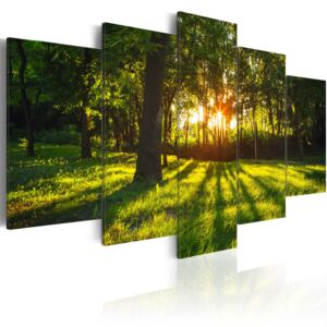 Canvas Tavla - The forest reflection - 200x100
