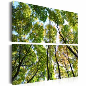 Canvas Tavla - Treetops - 40x40