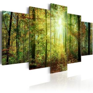 Canvas Tavla - Wild Forest - 200x100