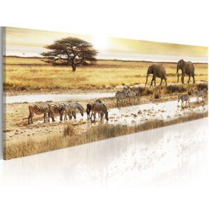 Canvas Tavla - Africa: at the waterhole - 120x40