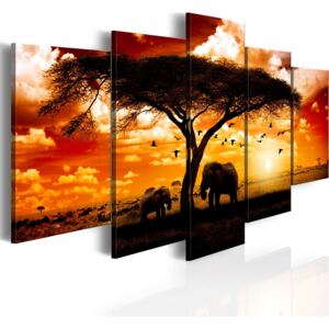 Canvas Tavla - Flock fåglar över savannen - 100x50