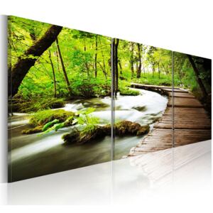 Canvas Tavla - Forest Brook - 150x50