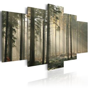 Canvas Tavla - Light in a dark forest - 200x100