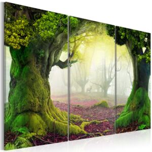Canvas Tavla - Mysterious forest - triptych - 120x80