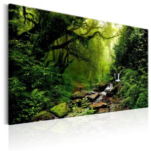 Canvas Tavla - Waterfall in the Forest - 120x80