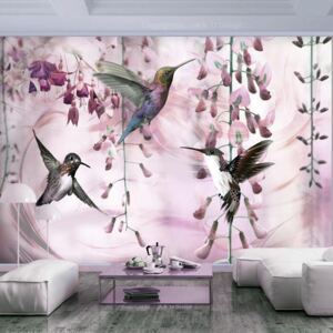 Fototapet - Flying Hummingbirds (Pink) - 100x70