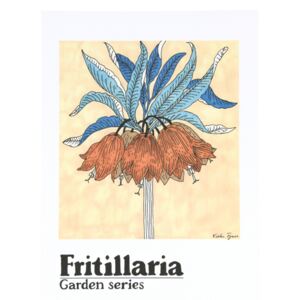 Poster Fritallaria