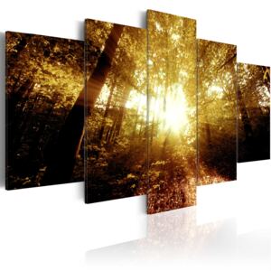Canvas Tavla - Autumn Forest - 200x100