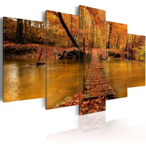 Canvas Tavla - Redness of autumn - 200x100