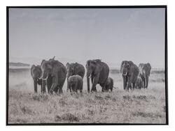Tavla Elefanter - 80x60 cm - Väggdekor