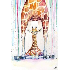 Marc Allante , Maxi Poster - Gorgeous Giraffes