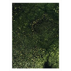 Waterlilies II poster 70x100cm Nej Ja, svart ram