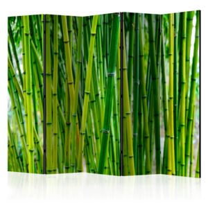 Rumsavdelare - Bamboo Forest II - 225x172