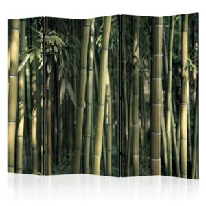Rumsavdelare - Bamboo Exotic II - 225x172