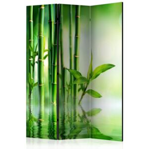 Rumsavdelare - Bamboo Grove - 135x172