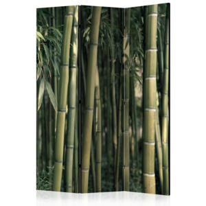 Rumsavdelare - Bamboo Exotic - 135x172
