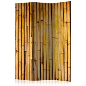 Rumsavdelare - Bamboo Garden - 135x172