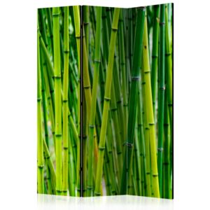 Rumsavdelare - Bamboo Forest - 135x172