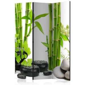 Rumsavdelare - Bamboos and Stones - 135x172
