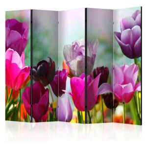Rumsavdelare - Beautiful Tulips II - 225x172