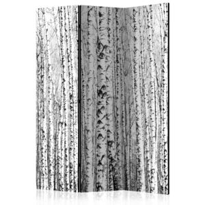 Rumsavdelare - Birch forest - 135x172