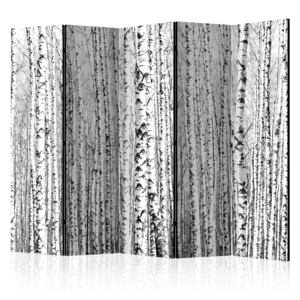 Rumsavdelare - Birch forest II - 225x172