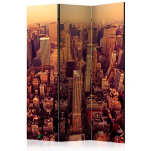 Rumsavdelare - Bird Eye View Of Manhattan, New York - 135x172