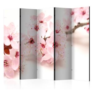 Rumsavdelare - Cherry Blossom II - 225x172