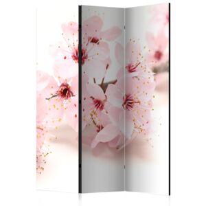 Rumsavdelare - Cherry Blossom - 135x172