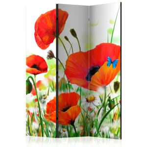 Rumsavdelare - Country poppies - 135x172