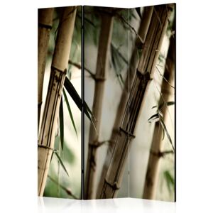 Rumsavdelare - Fog and bamboo forest - 135x172