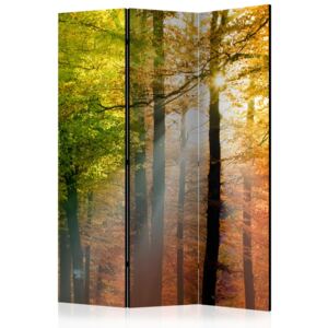 Rumsavdelare - Forest Colours - 135x172