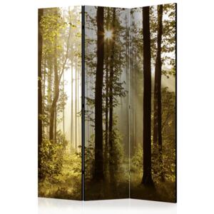 Rumsavdelare - Forest: Morning Sunlight - 135x172