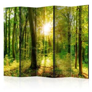 Rumsavdelare - Forest Rays II - 225x172