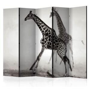 Rumsavdelare - Giraffes II - 225x172